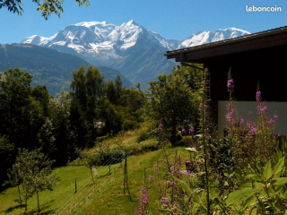 Chalet familial face au Mt Blanc, jacuzzi