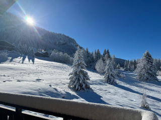 Chalet familial sur les pistes de Rochebrune  4 chambres  8 personnes