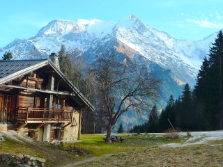 Ferme des ours