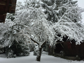 Châlet " Aster " : douillet et  spacieux 120m2 et grand jardin